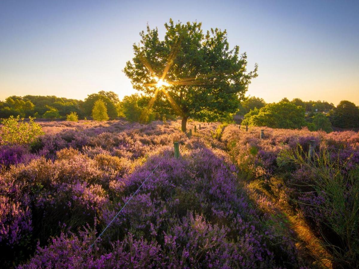 Landal Gooise Heide Hotel เฮาเซิน ภายนอก รูปภาพ